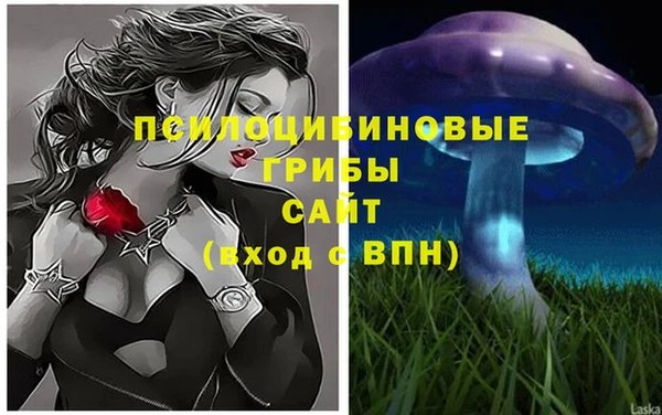 прущие грибы Корсаков