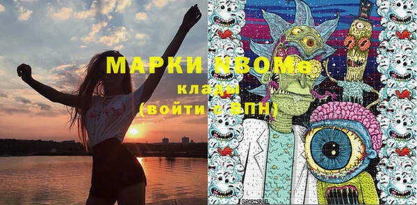 прущие грибы Корсаков