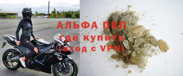 прущие грибы Корсаков