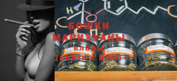 прущие грибы Корсаков