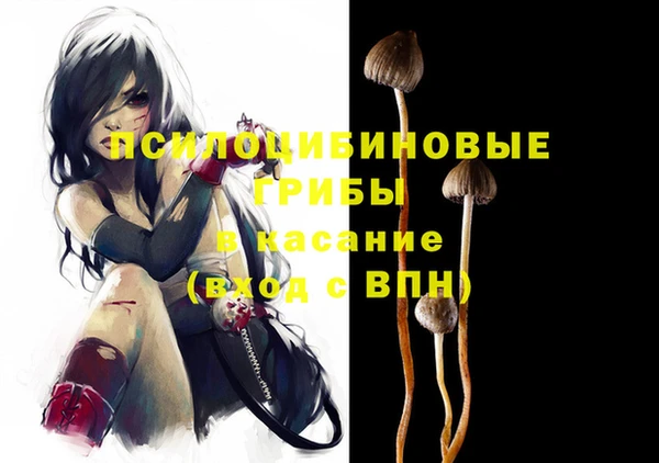 дурь Козельск