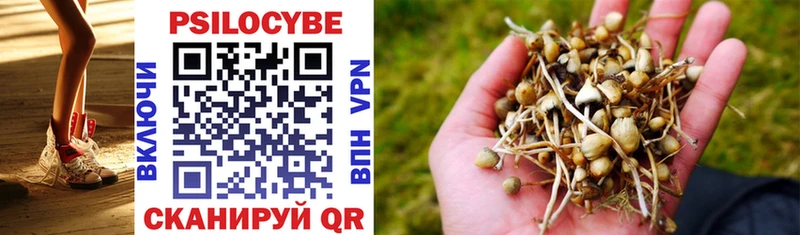 Галлюциногенные грибы GOLDEN TEACHER  Купить где  Пласт 